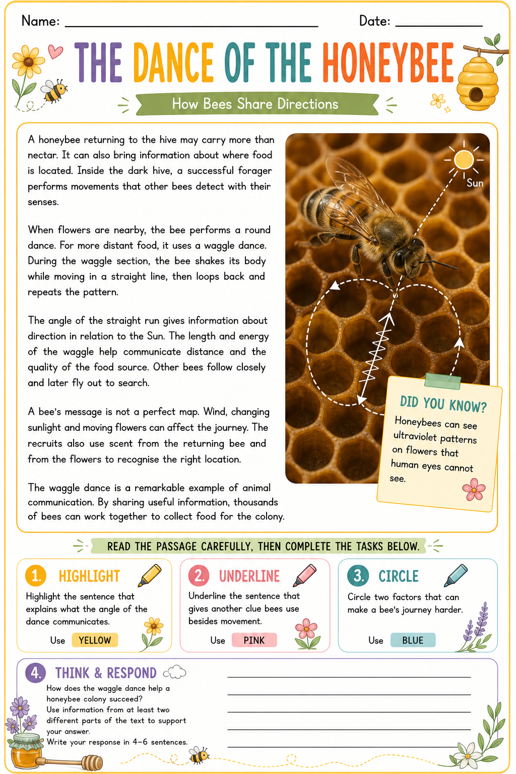 The Dance of the Honeybee